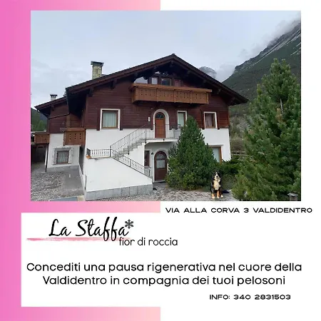 Comodo Rifugio Montano La Staffa In Valdidentro Appartamento Premadio